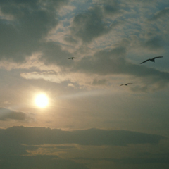Slip Away