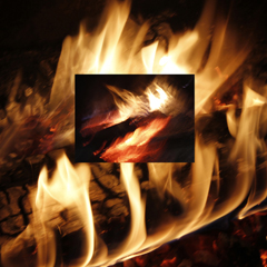 The Will of Fire